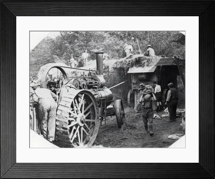 Framed Print : Threshing at New Moat, Pembrokeshire, South Wales Framed Print : Threshing at New Moat, Pembrokeshire, South Wales