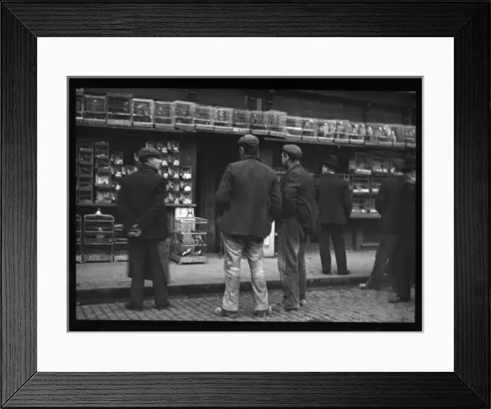 Framed Print : Bird market in the East End of London Framed Print : Bird market in the East End of London