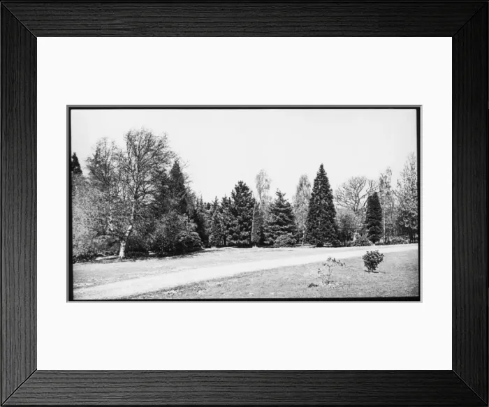 Framed Print : Country garden with trees and grass Framed Print : Country garden with trees and grass