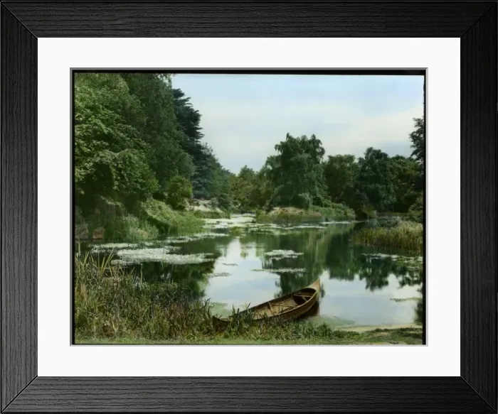Framed Print : View of a lake in early summer Framed Print : View of a lake in early summer