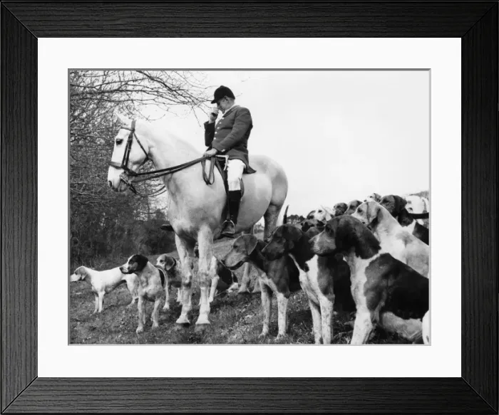 Framed Print : Tiverton Stag Hounds alongside a road Framed Print : Tiverton Stag Hounds alongside a road