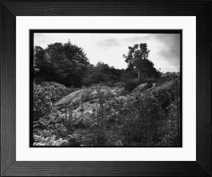 Framed Print : Landscape with rocks, ferns and trees Framed Print : Landscape with rocks, ferns and trees