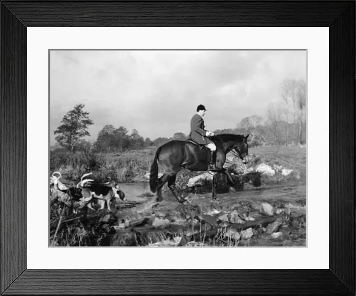 Framed Print : Huntsman and hounds cross a stream Framed Print : Huntsman and hounds cross a stream