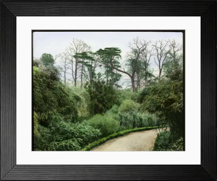 Framed Print : Garden with bamboo Framed Print : Garden with bamboo