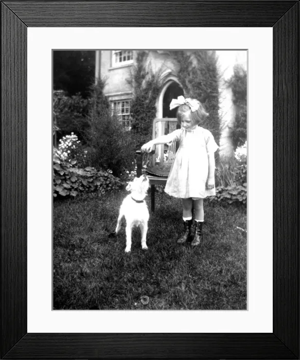 Framed Print : Little girl in a garden with a small dog Framed Print : Little girl in a garden with a small dog