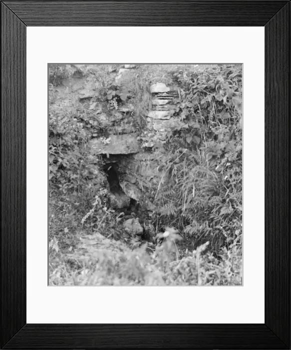 Framed Print : Sheep creep near St Davids, Pembrokeshire, South Wales Framed Print : Sheep creep near St Davids, Pembrokeshire, South Wales