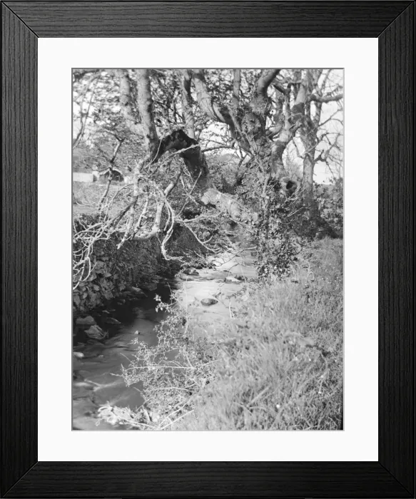 Framed Print : Caman Brook, St Davids, South Wales Framed Print : Caman Brook, St Davids, South Wales