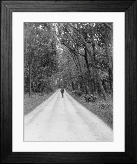 Framed Print : Lane near Whitchurch, Solva, Pembrokeshire, South Wales Framed Print : Lane near Whitchurch, Solva, Pembrokeshire, South Wales