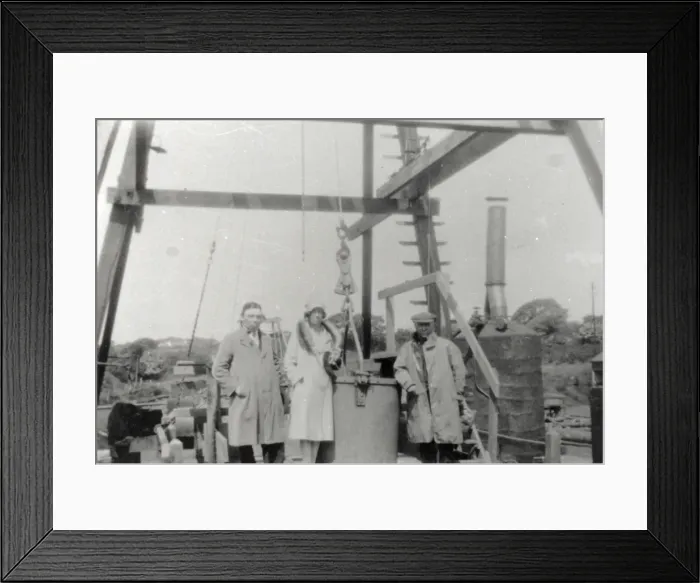 Framed Print : Three visitors, Hook Colliery, Pembrokeshire, South Wales Framed Print : Three visitors, Hook Colliery, Pembrokeshire, South Wales