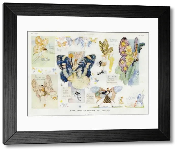 Framed Print : Some Familiar Summer Butterflies by A. K. Macdonald Framed Print : Some Familiar Summer Butterflies by A. K. Macdonald