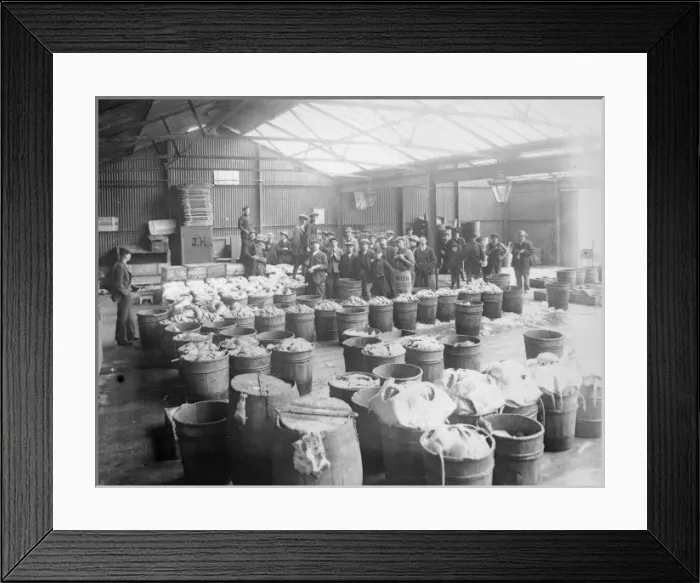 Framed Print : Neyland Fish Market, Neyland, Pembrokeshire, South Wales Framed Print : Neyland Fish Market, Neyland, Pembrokeshire, South Wales