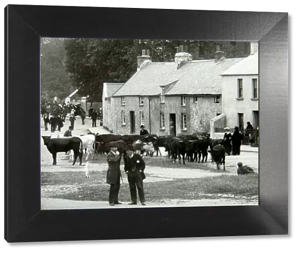 St Thomas Green cattle market, Haverfordwest, South Wales