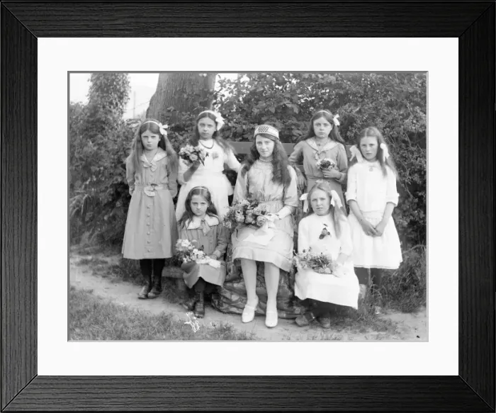 Framed Print : Seven sisters in a garden, Mid Wales Framed Print : Seven sisters in a garden, Mid Wales
