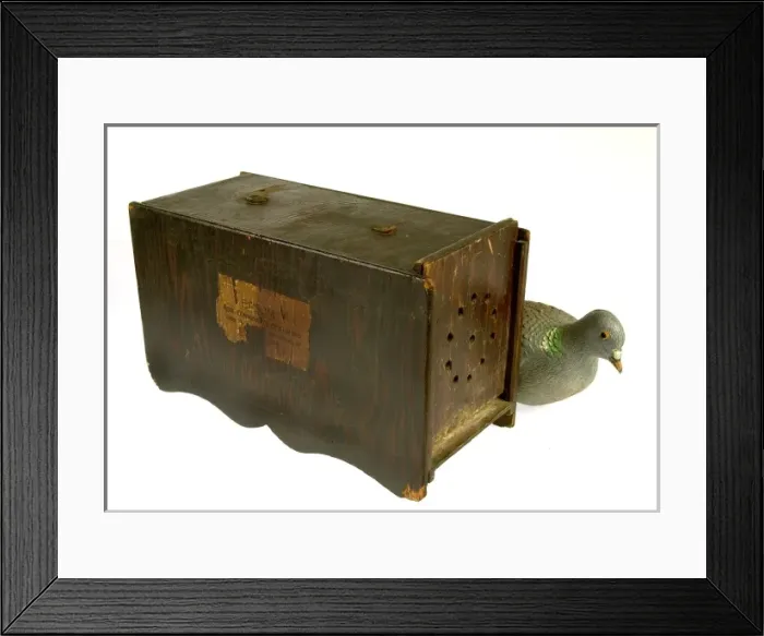 Framed Print : Dove or pigeon box Framed Print : Dove or pigeon box