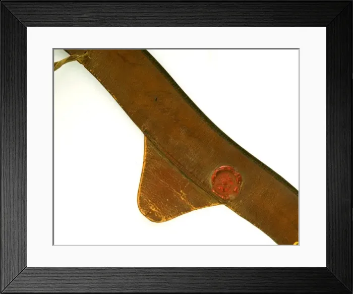 Framed Print : (insert) Framed Print : (insert)