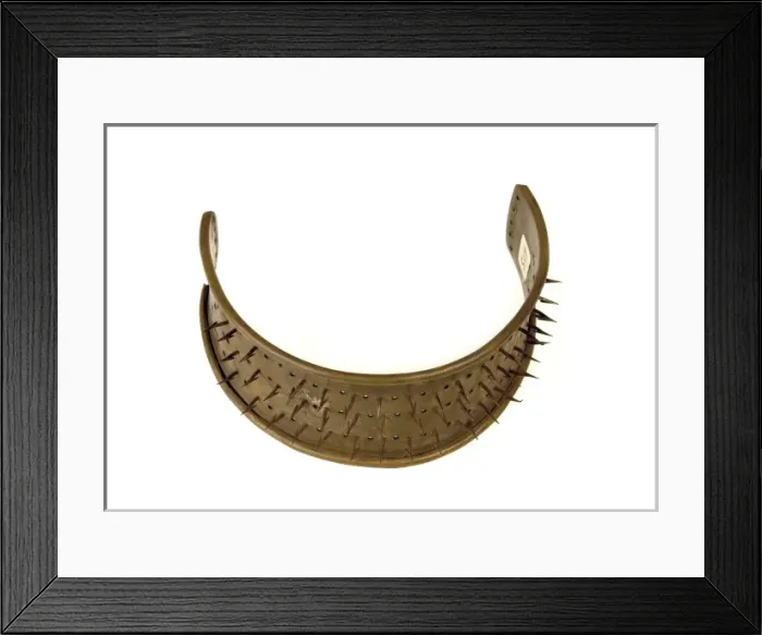 Framed Print : Protective collar against garrotting Framed Print : Protective collar against garrotting