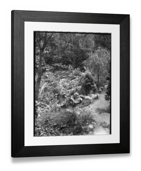 Framed Print : View of Reginald Malbys garden in summer Framed Print : View of Reginald Malbys garden in summer