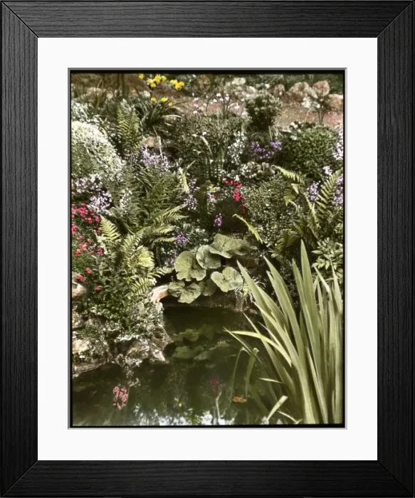 Framed Print : View of Reginald Malbys garden and pond Framed Print : View of Reginald Malbys garden and pond