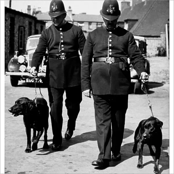 Two policemen with dogs
