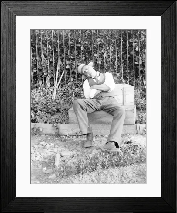 Framed Print : Man asleep in a garden, Mid Wales Framed Print : Man asleep in a garden, Mid Wales