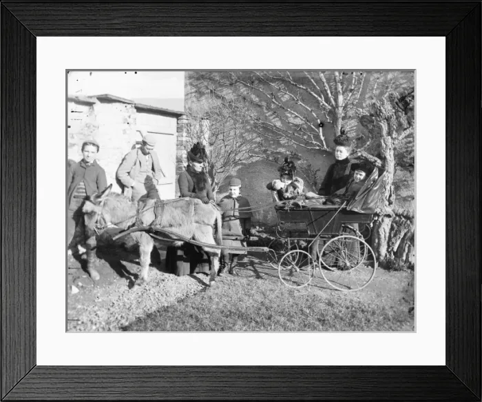 Framed Print : Family with donkey-drawn trap in a garden, Mid Wales Framed Print : Family with donkey-drawn trap in a garden, Mid Wales