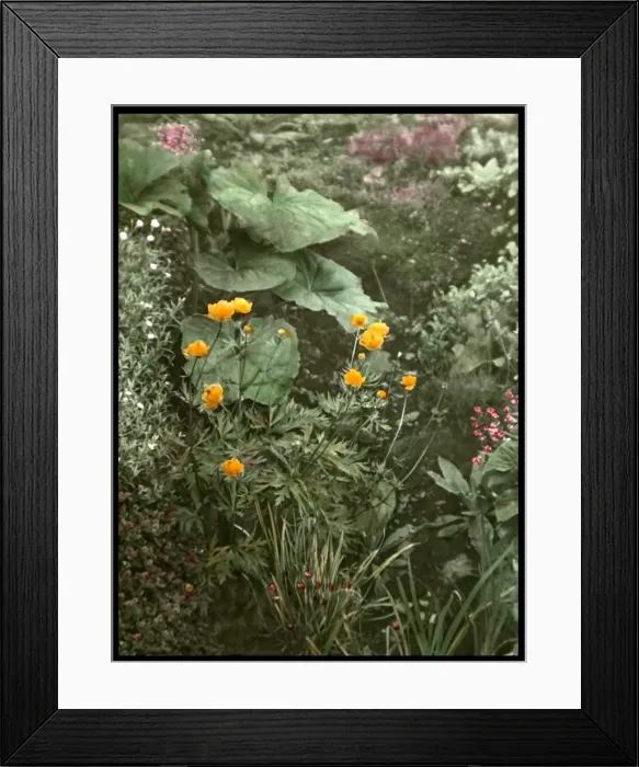 Framed Print : Detail of Reginald Malbys garden Framed Print : Detail of Reginald Malbys garden