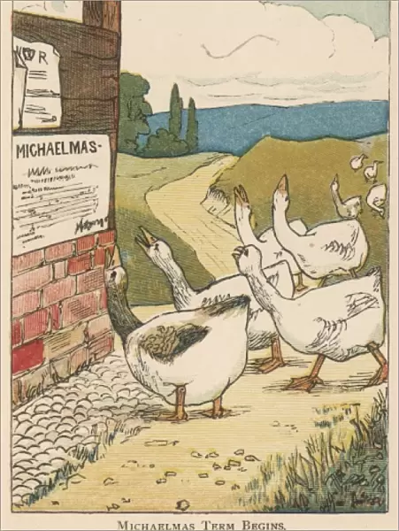 Geese unhappy at the arrival of Michaelmas