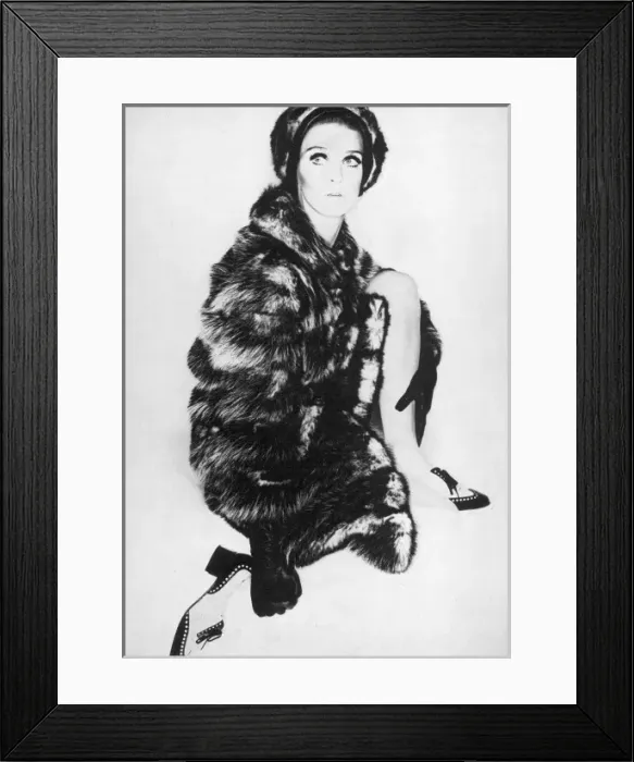 Framed Print : All the Fun of the Furs, London Life fashion spread 1966 Framed Print : All the Fun of the Furs, London Life fashion spread 1966
