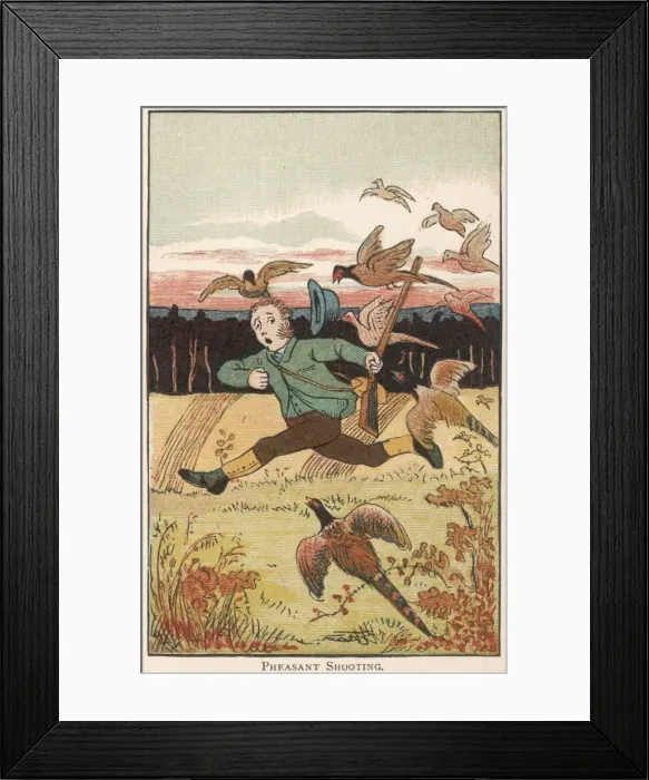 Framed Print : Hunter attacked by pheasants Framed Print : Hunter attacked by pheasants