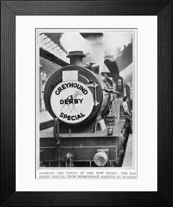 Framed Print : The Dog Derby special train from Birmingham Framed Print : The Dog Derby special train from Birmingham