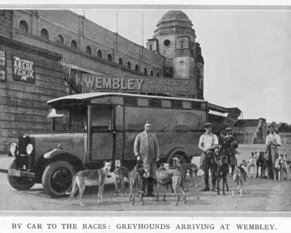 Greyhounds arriving at Wembley by car