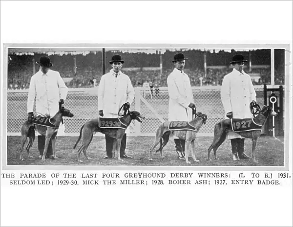 Four Greyhound Derby winners