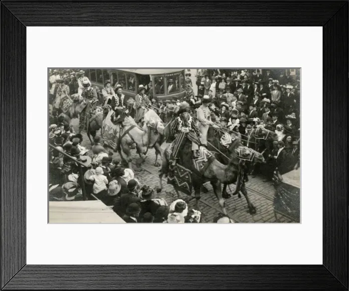Framed Print : Circus camels on parrade down a street in Washington D. C Framed Print : Circus camels on parrade down a street in Washington D. C