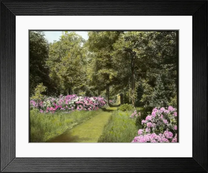 Framed Print : Gardens at Aldenham House, Hertfordshire Framed Print : Gardens at Aldenham House, Hertfordshire