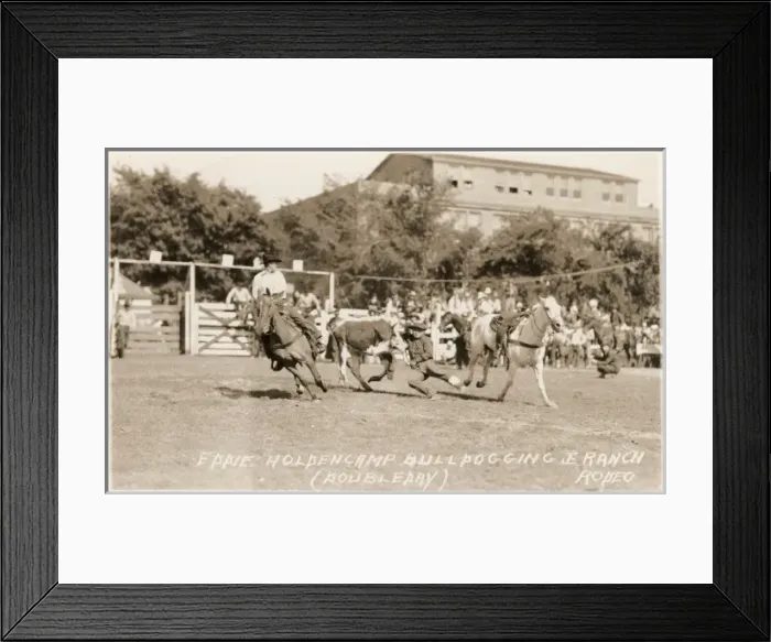 Framed Print : Eddie Holdencamp, Bulldogging Ranch Rodeo Framed Print : Eddie Holdencamp, Bulldogging Ranch Rodeo