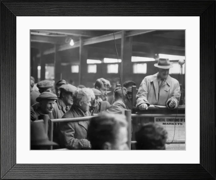 Framed Print : Auction at Newton Abbott Livestock Market Framed Print : Auction at Newton Abbott Livestock Market