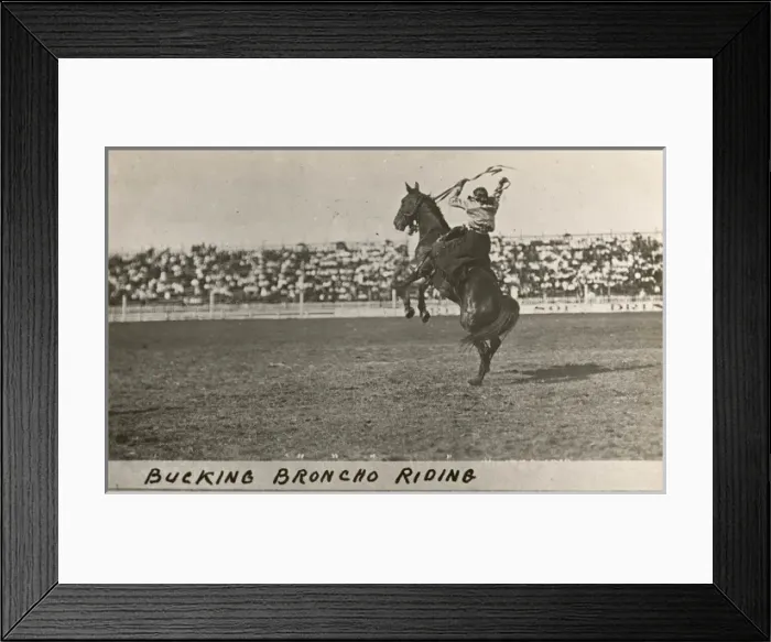 Framed Print : Cowboy riding a bucking Broncho Framed Print : Cowboy riding a bucking Broncho