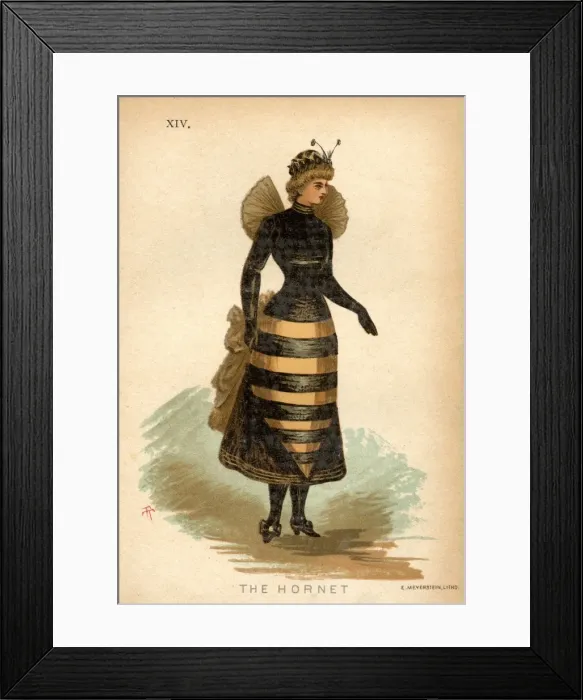 Framed Print : The Hornet Framed Print : The Hornet