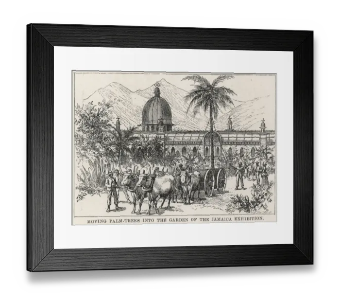 Framed Print : The Jamaica Exhibition