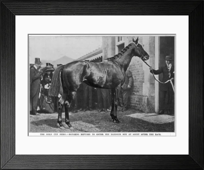 Framed Print : Bayardo, the Gold Cup hero Framed Print : Bayardo, the Gold Cup hero