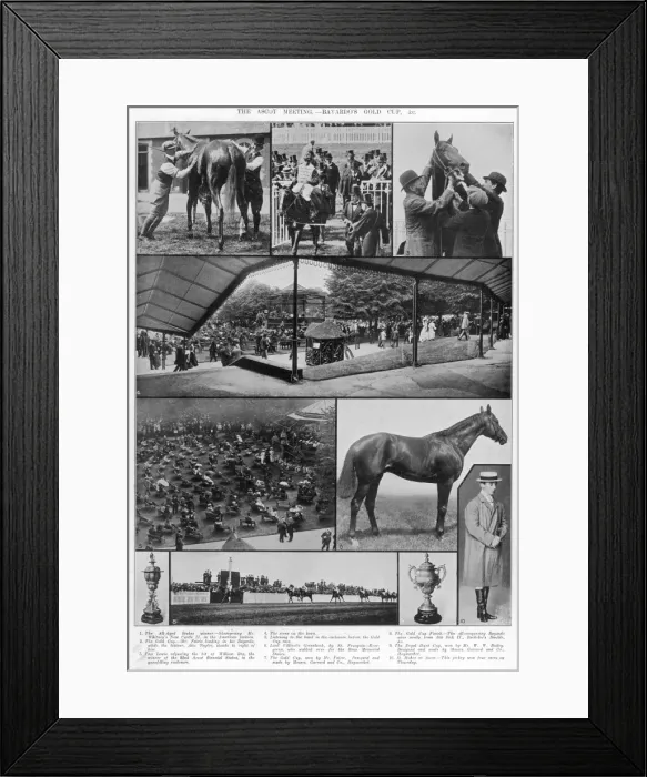 Framed Print : Bayardos Gold Cup Framed Print : Bayardos Gold Cup