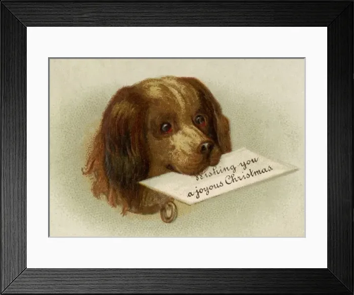 Framed Print : Anon. Dog with message. jpg Framed Print : Anon. Dog with message. jpg