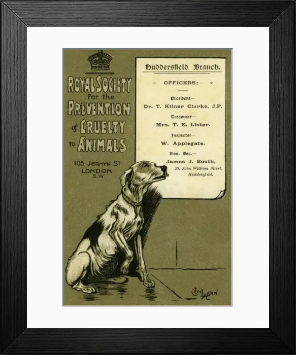 Framed Print : RSPCA. Cecil Aldin. 1908. jpg Framed Print : RSPCA. Cecil Aldin. 1908. jpg