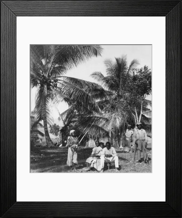 Framed Print : Workers in a palm grove, Jamaica Framed Print : Workers in a palm grove, Jamaica