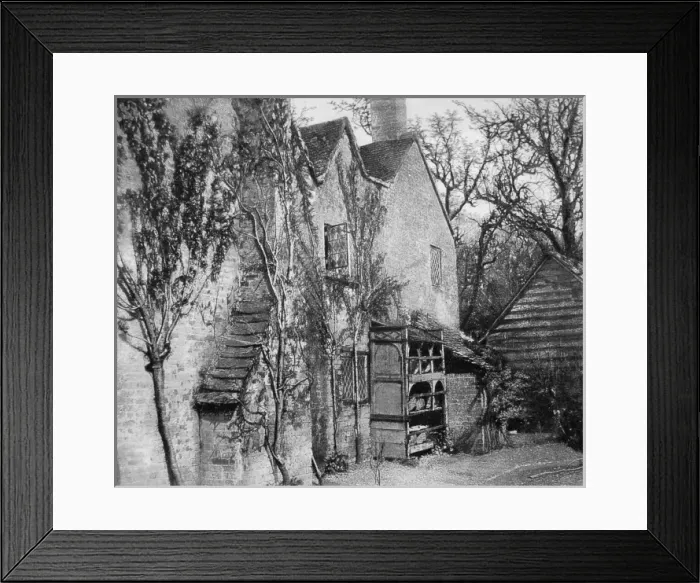 Framed Print : Apricot trees growing up a house wall Framed Print : Apricot trees growing up a house wall