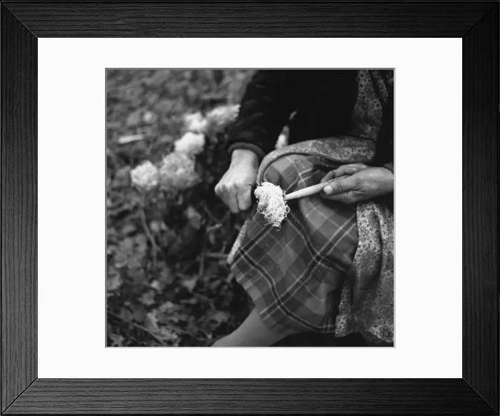Framed Print : Gipsy woman with washing-up brush Framed Print : Gipsy woman with washing-up brush