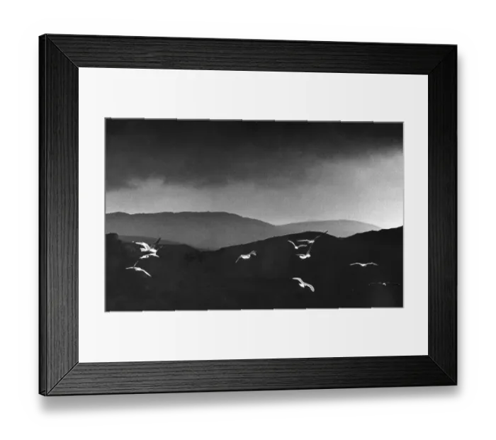 Framed Print : Seagulls flying across a dark landscape Framed Print : Seagulls flying across a dark landscape