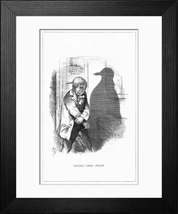 Framed Print : Shadow drawing. C. H. Bennett, Foolish Tommy Pigeon Framed Print : Shadow drawing. C. H. Bennett, Foolish Tommy Pigeon