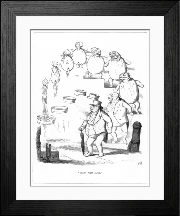 Framed Print : Origin Species, CH Bennett, Money saver - tortoise Framed Print : Origin Species, CH Bennett, Money saver - tortoise