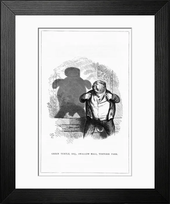 Framed Print : Shadow drawing. C. H. Bennett, Green Turtle Framed Print : Shadow drawing. C. H. Bennett, Green Turtle